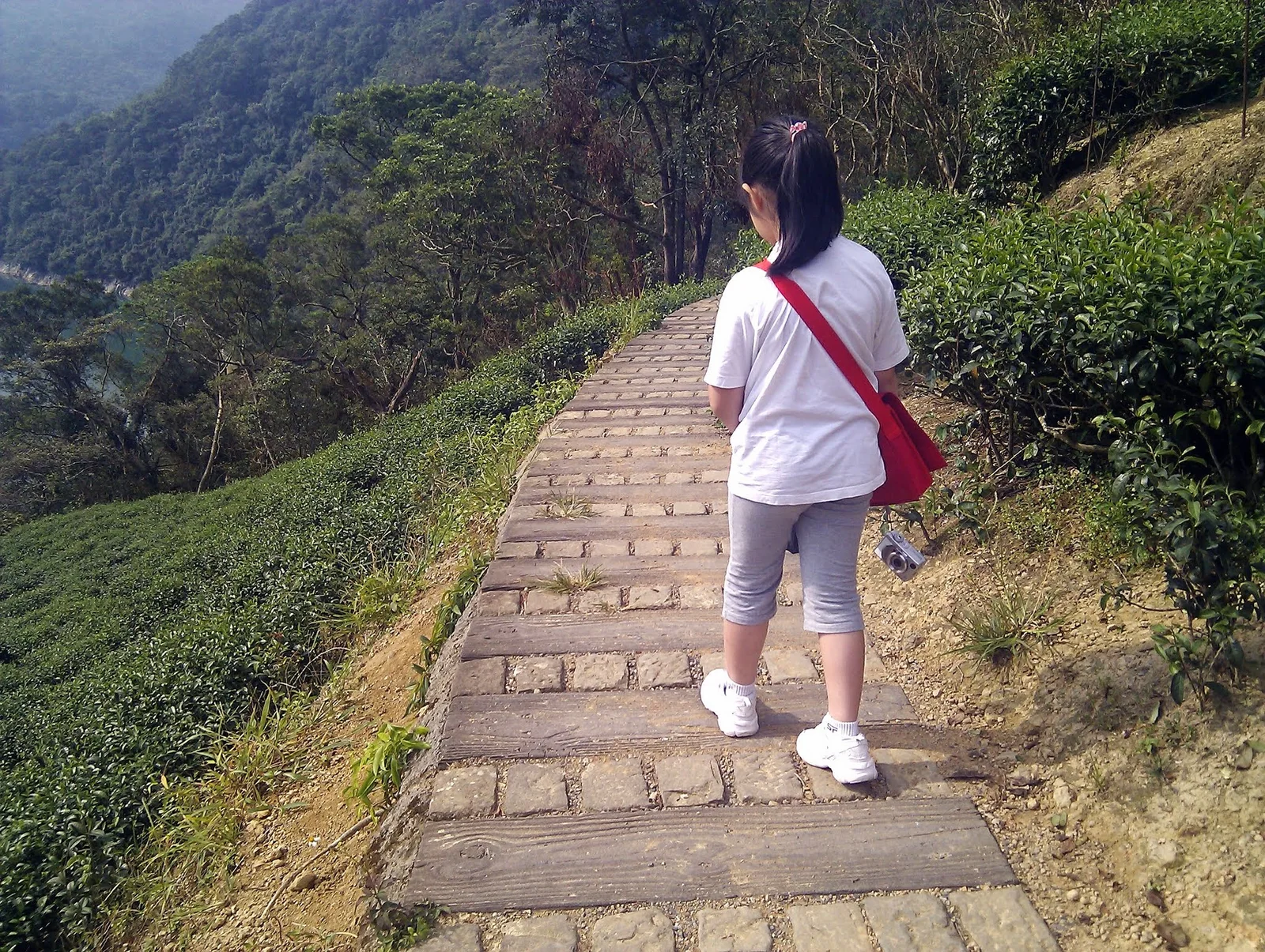 孩子們走進永安景觀步道起點