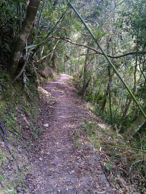 永安景觀步道前段的石板路面