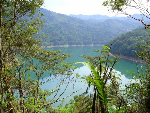 落葉覆蓋的永安景觀步道山徑
