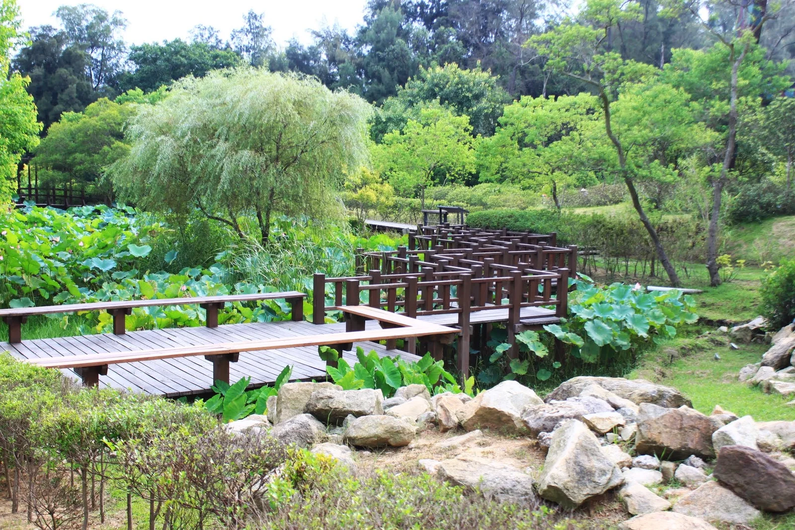 2013 年金門植物園行程照片之一