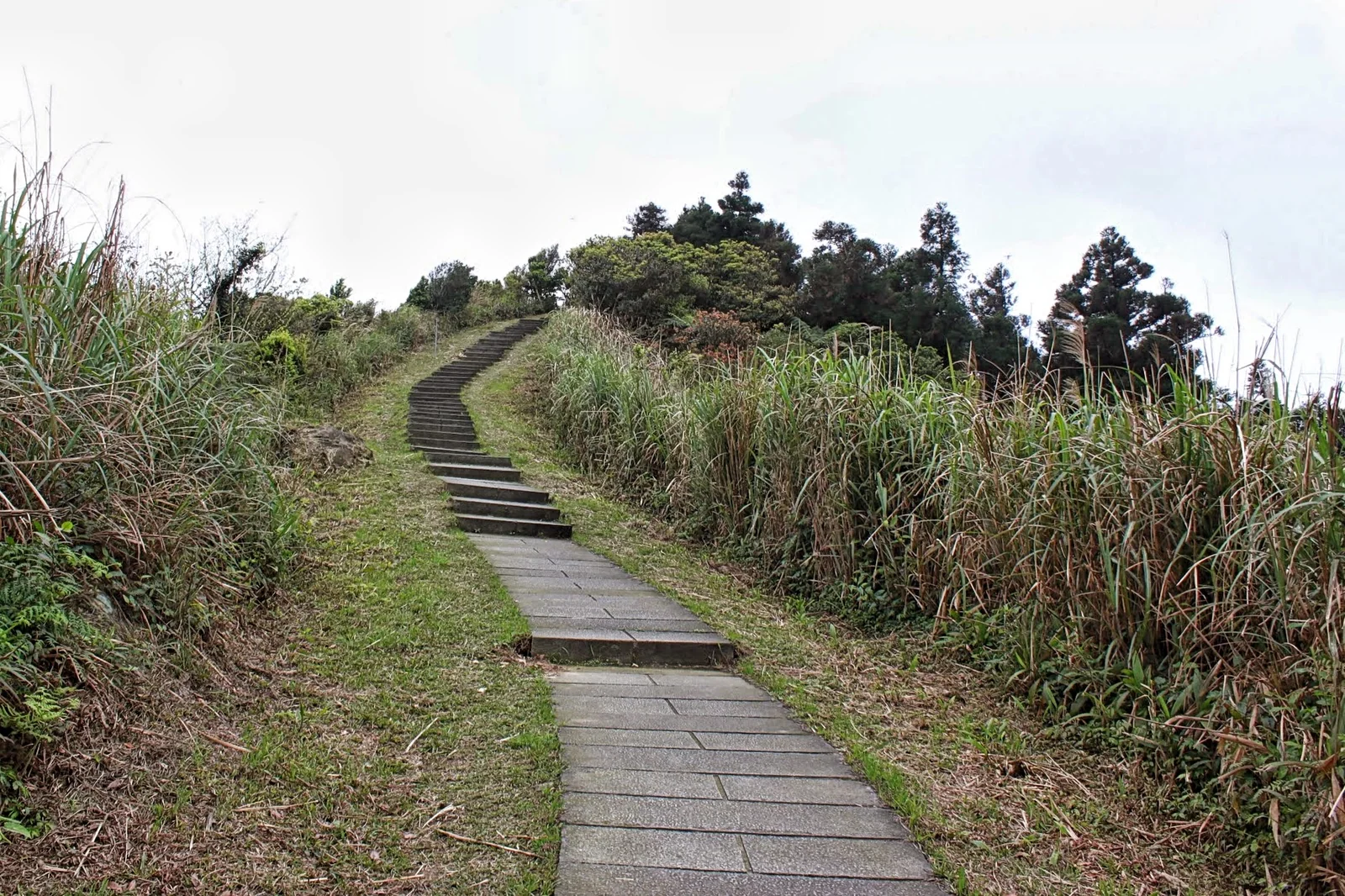 五分山登山入口附近的觀景涼亭與周圍山坡