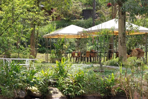 莫內花園庭園咖啡的戶外環境