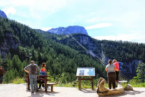 觀景休息區前方可見跨越森林山谷的纜車纜線